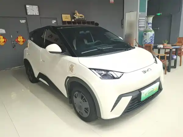 BYD Seagull 2024