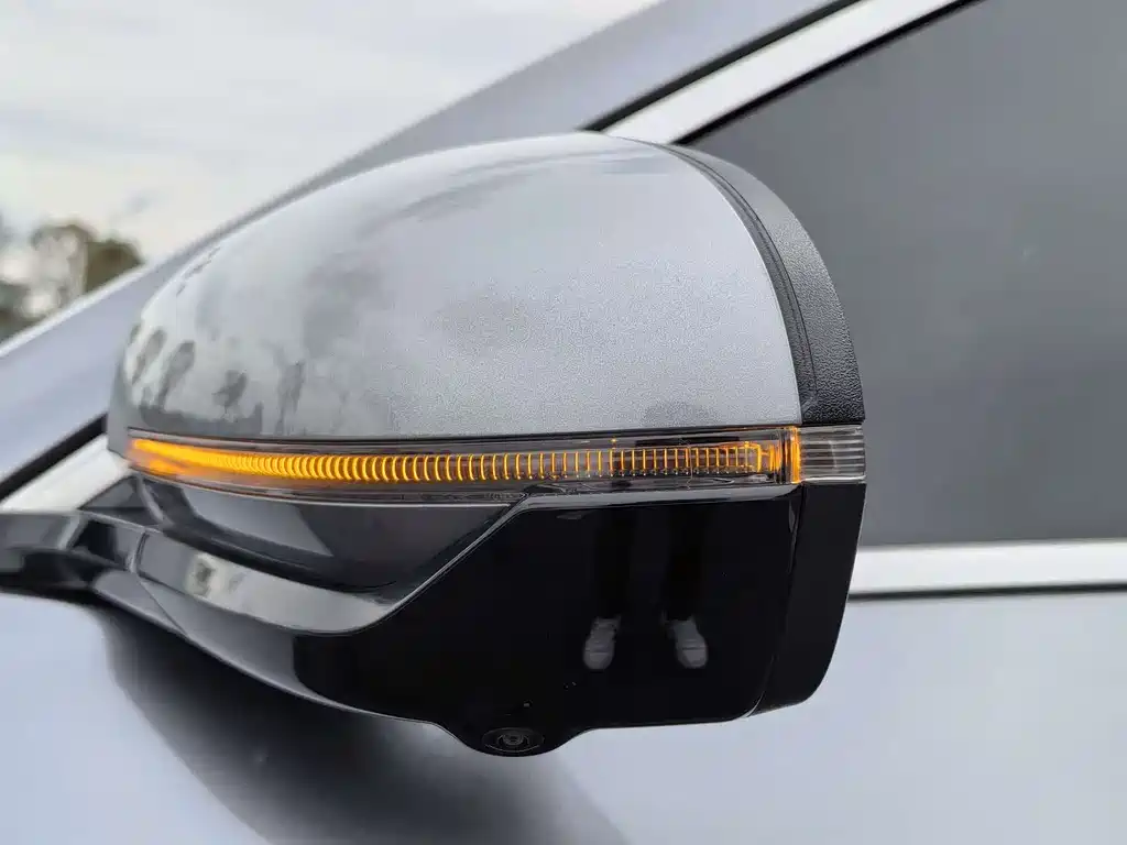 BYD PLUS New Energy 2022 — фото 10