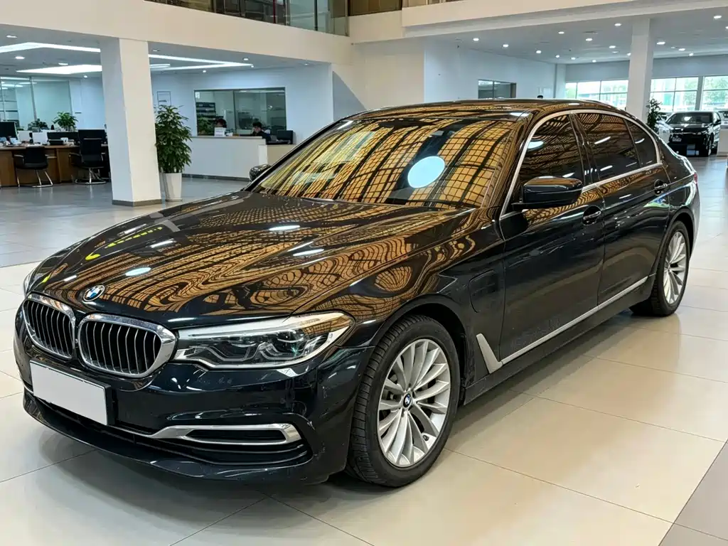 BMW 5 Series New Energy 2020