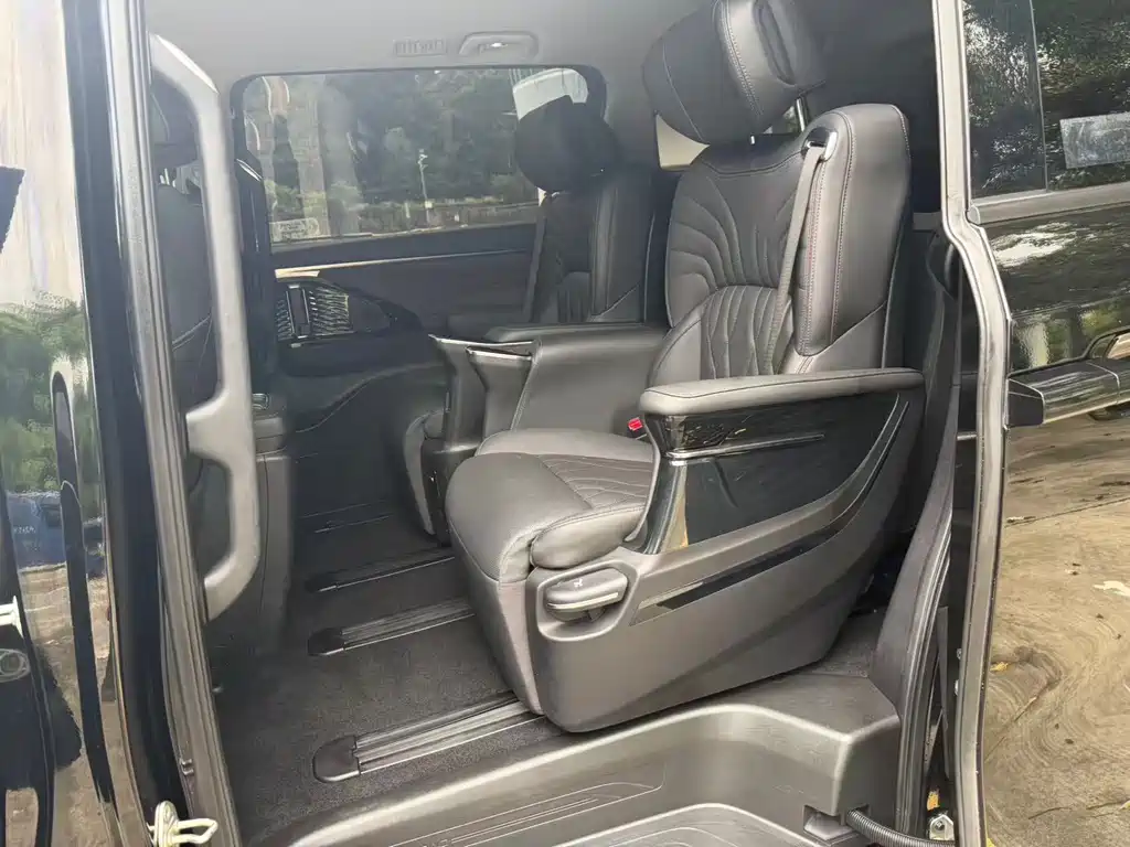 GAC Motor Trumpchi E9 2024 — фото 12