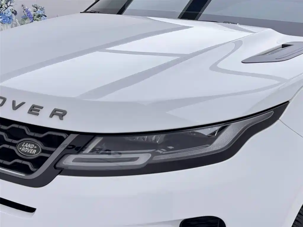 Land Rover Evoque 2020 — фото 12