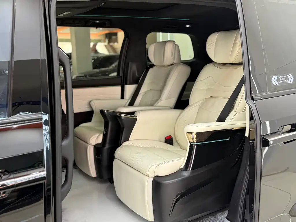 GAC Motor Trumpchi M8 2023 — фото 8