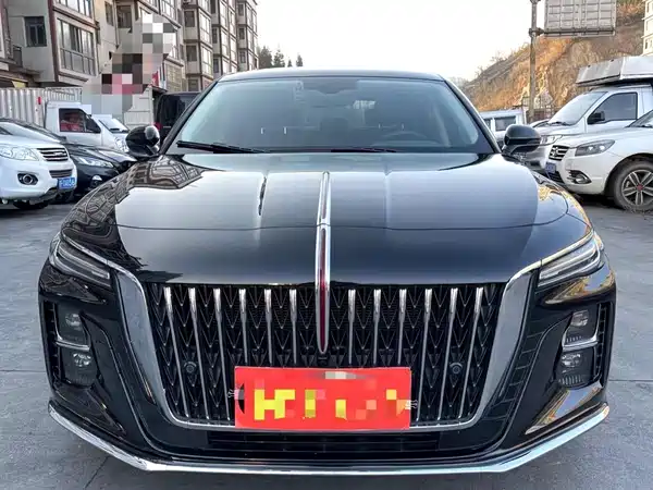 Hongqi H5 2024