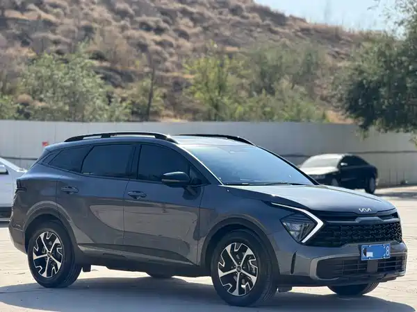 Kia Lion Platinum Expands The Boundary 2025