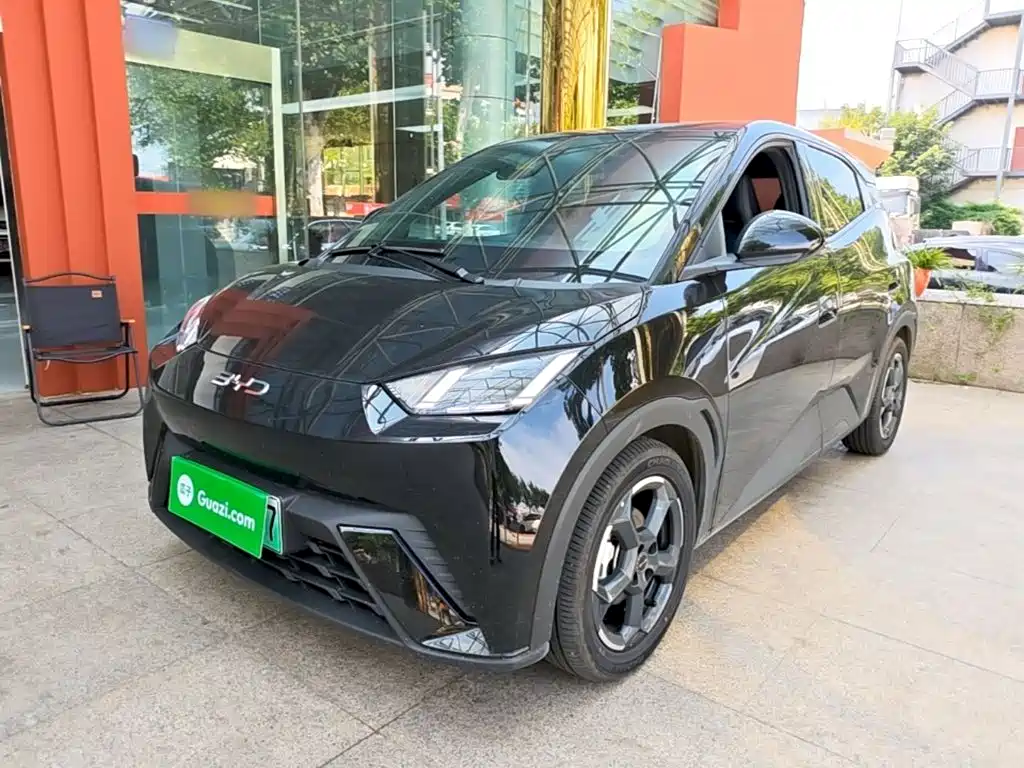 BYD Seagull 2024