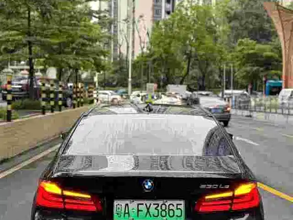 BMW 5 Series New Energy 2018