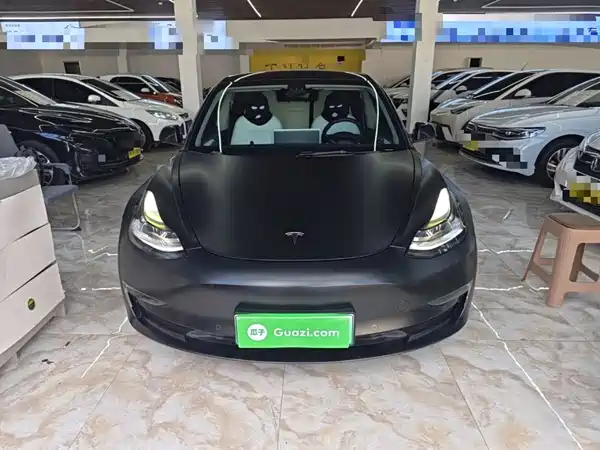 Tesla Model 3 2021