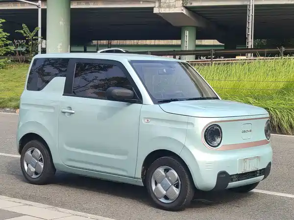 Geely Galaxy Panda 2024
