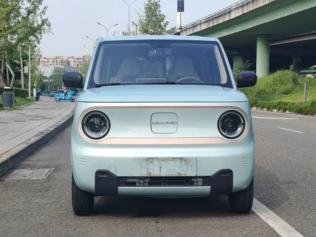 Geely Galaxy Panda 2024 — фото 2