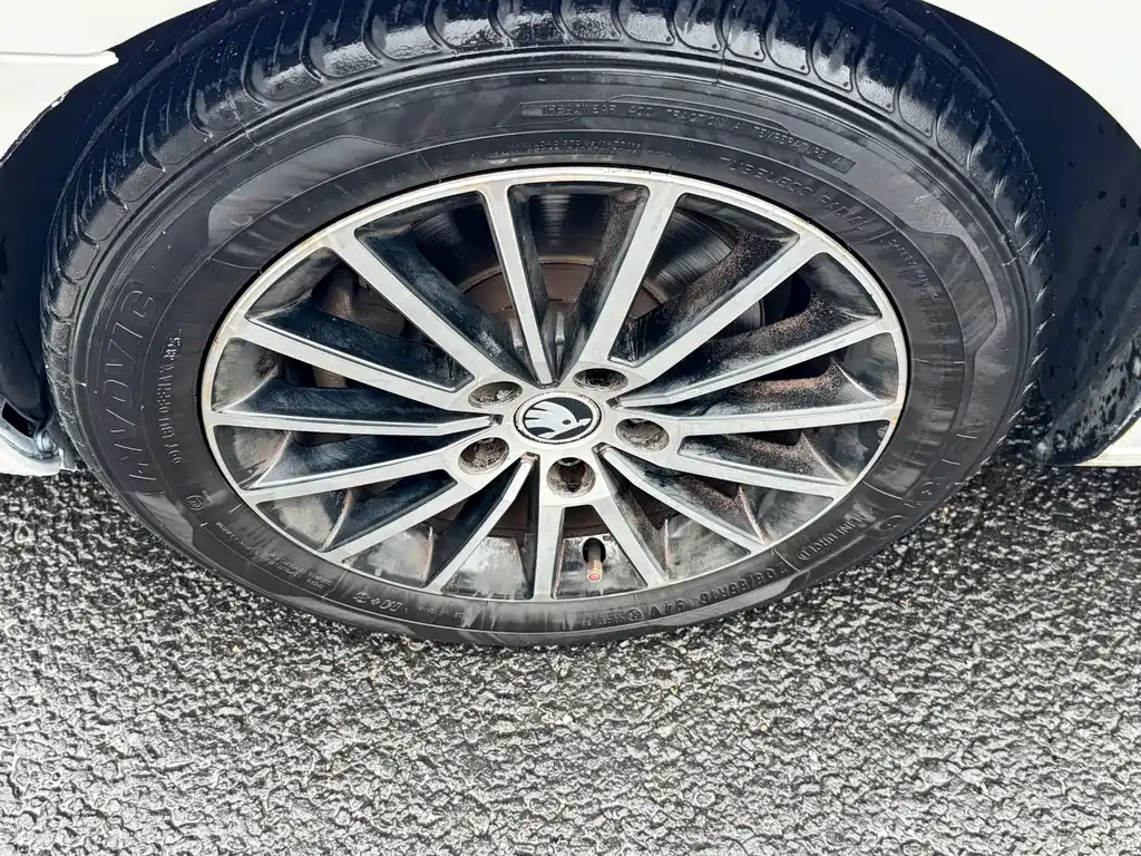 Skoda Octavia 2019 — фото 5