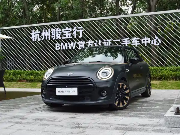 MINI MINI 2020