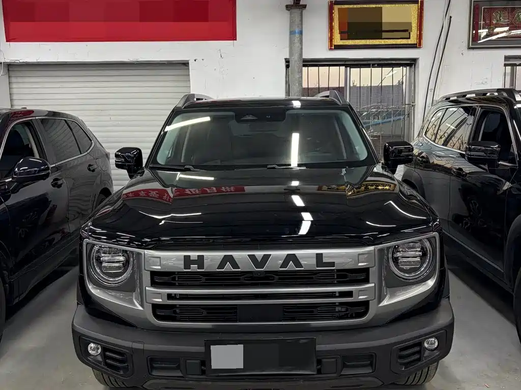 Haval Big Dog 2024