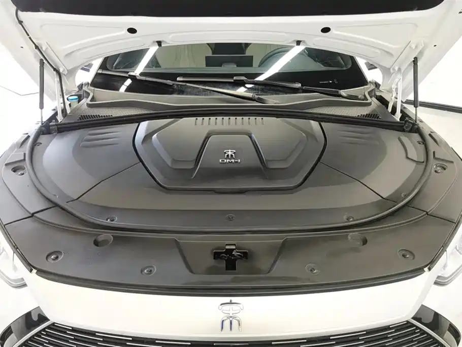 BYD PLUS New Energy 2022 — фото 10