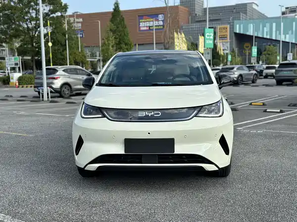 BYD Dolphin 2025
