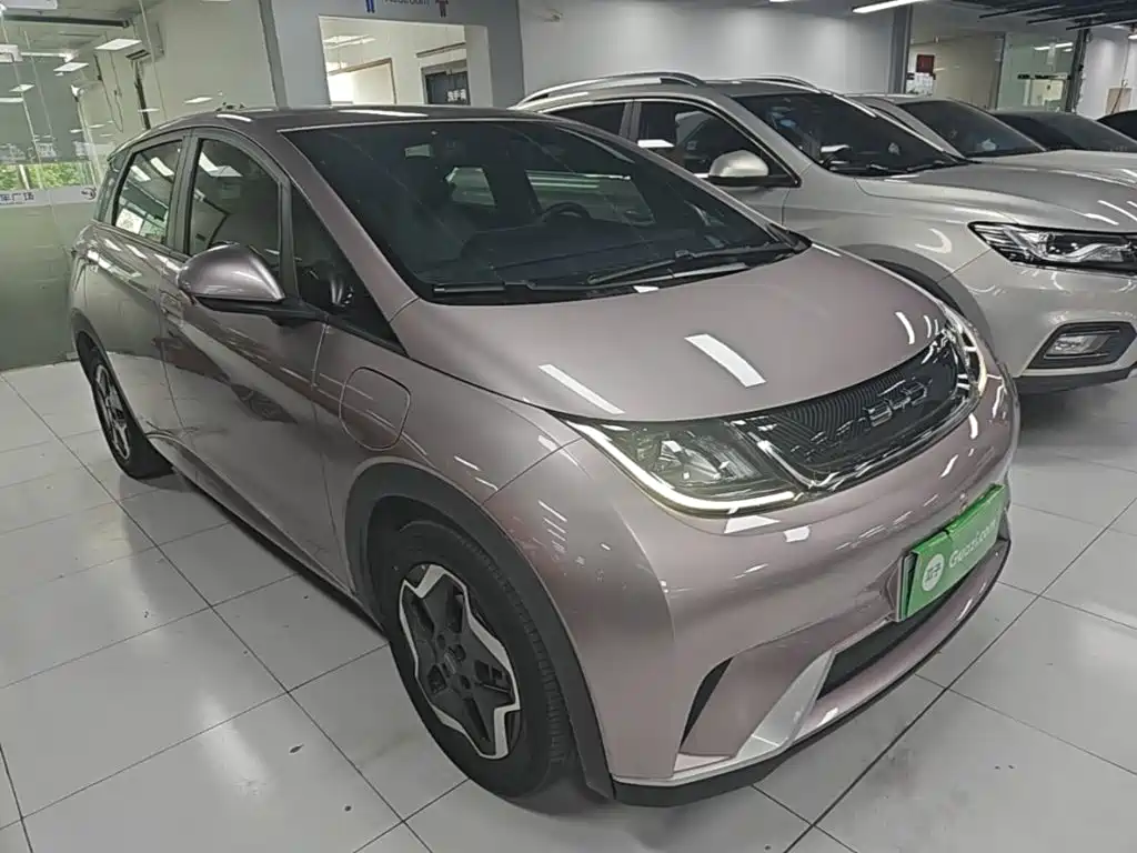 BYD Dolphin 2022