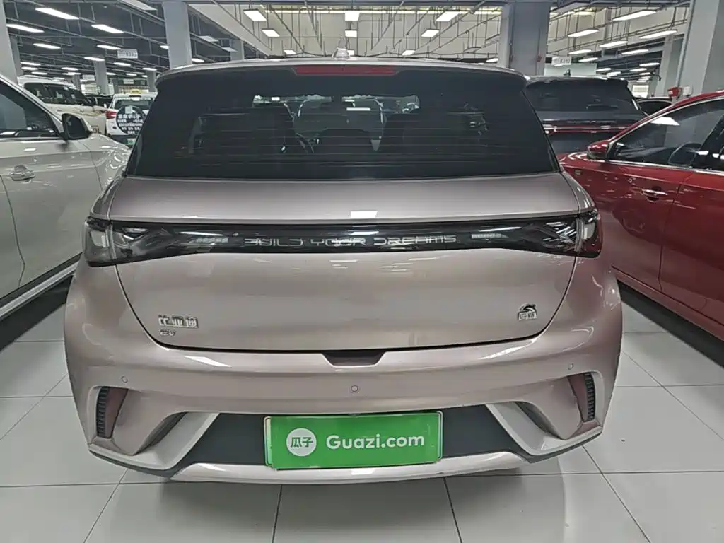 BYD Dolphin 2022