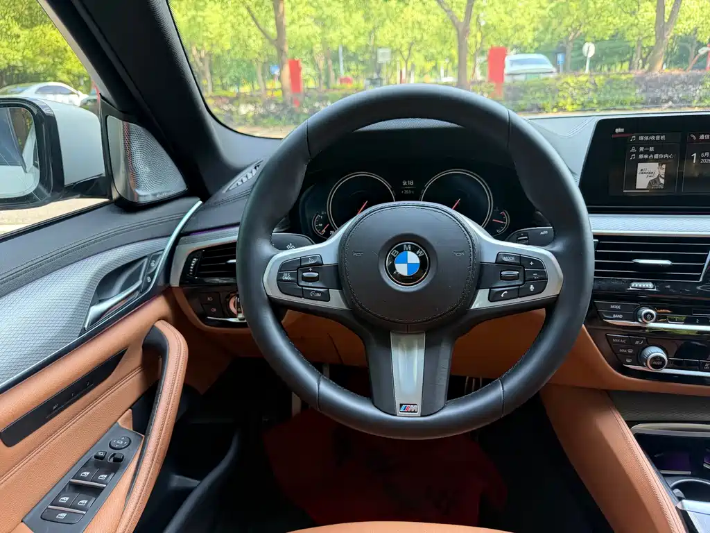BMW 5 Series 2018 — фото 9