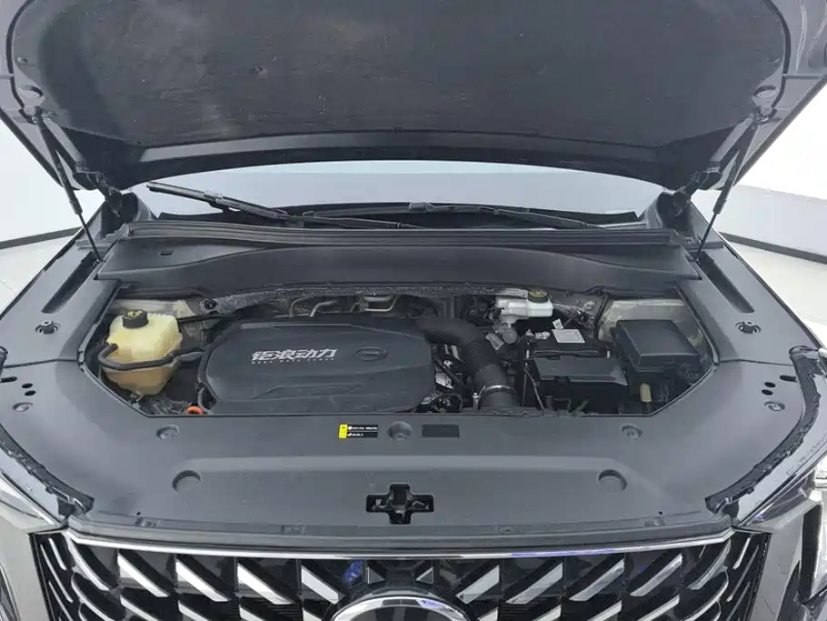 GAC Motor Trumpchi GS8 2022 — фото 10