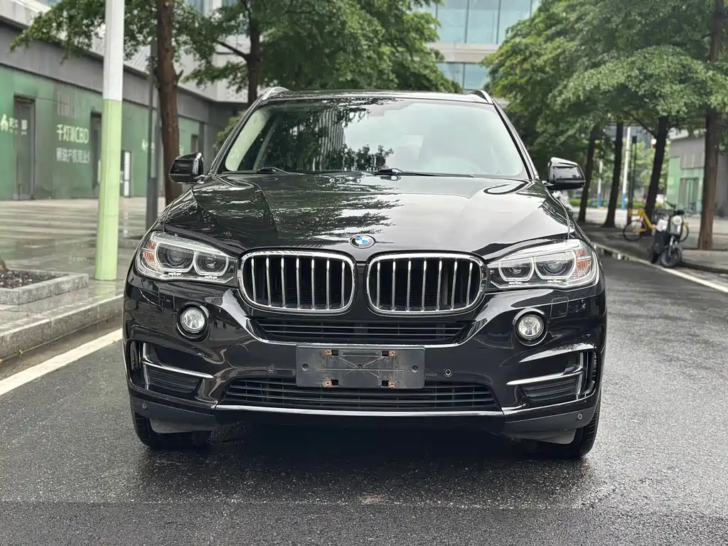 BMW X5 2017 — фото 2
