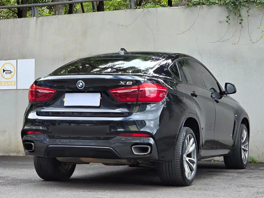 BMW X6 2018