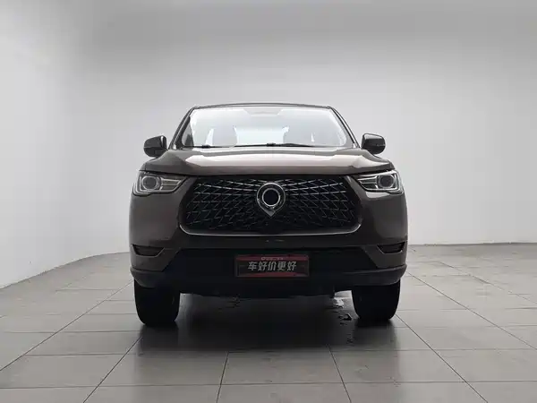 Great Wall Poer 2020