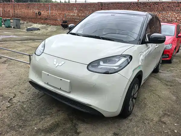 Wuling Bingo 2024