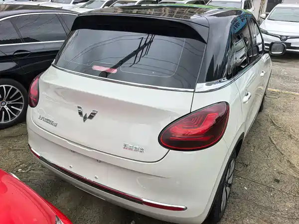 Wuling Bingo 2024