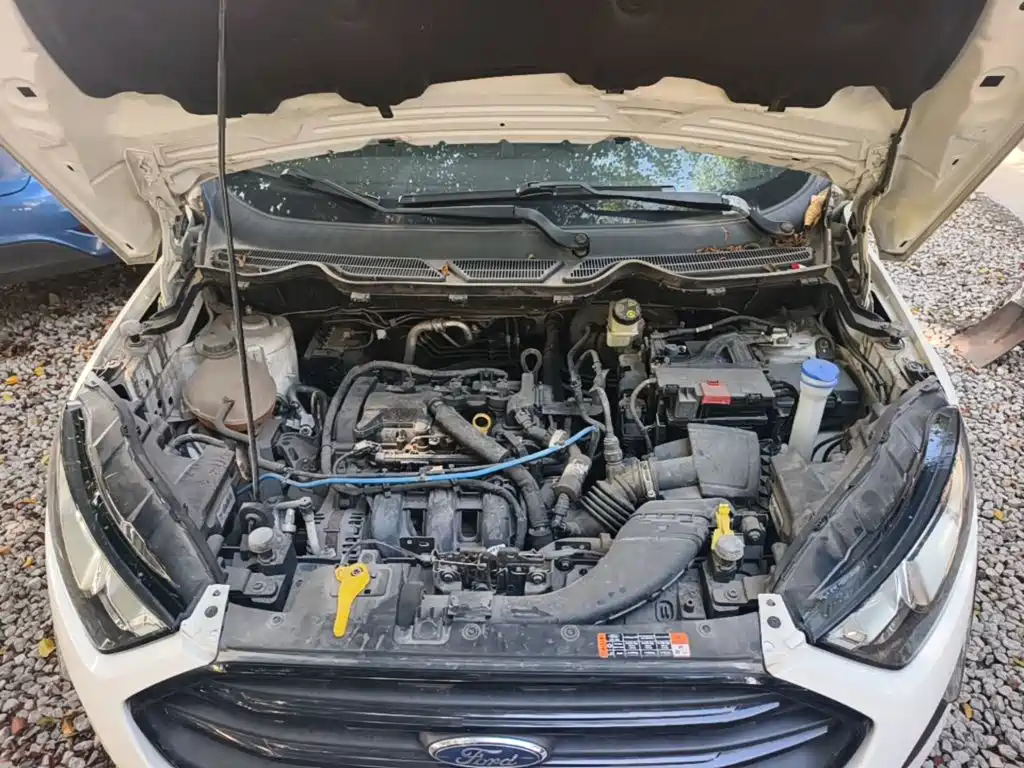 Ford EcoSport 2019 — фото 20