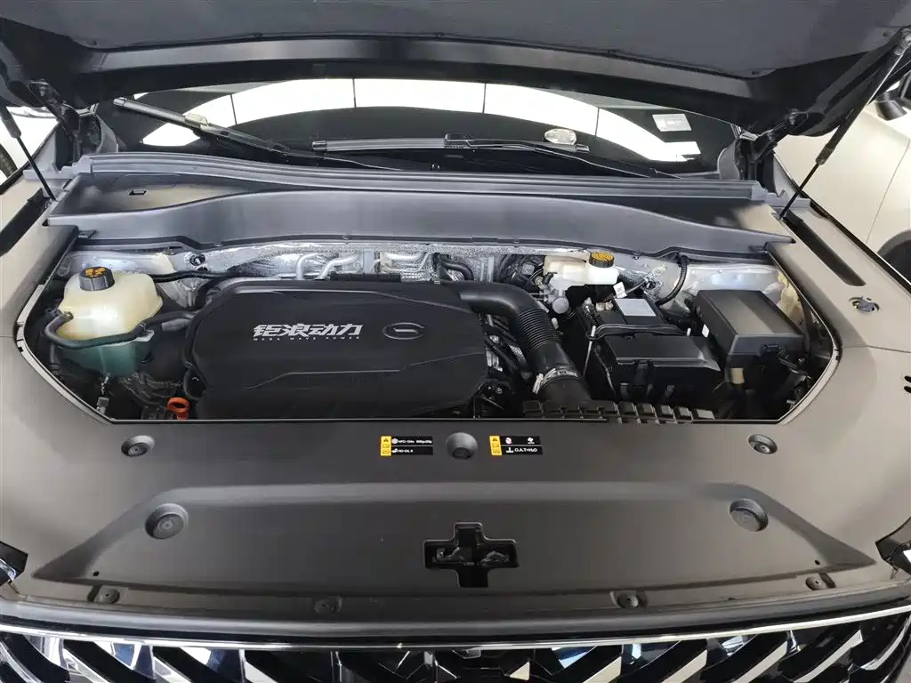 GAC Motor Trumpchi GS8 2022 — фото 16