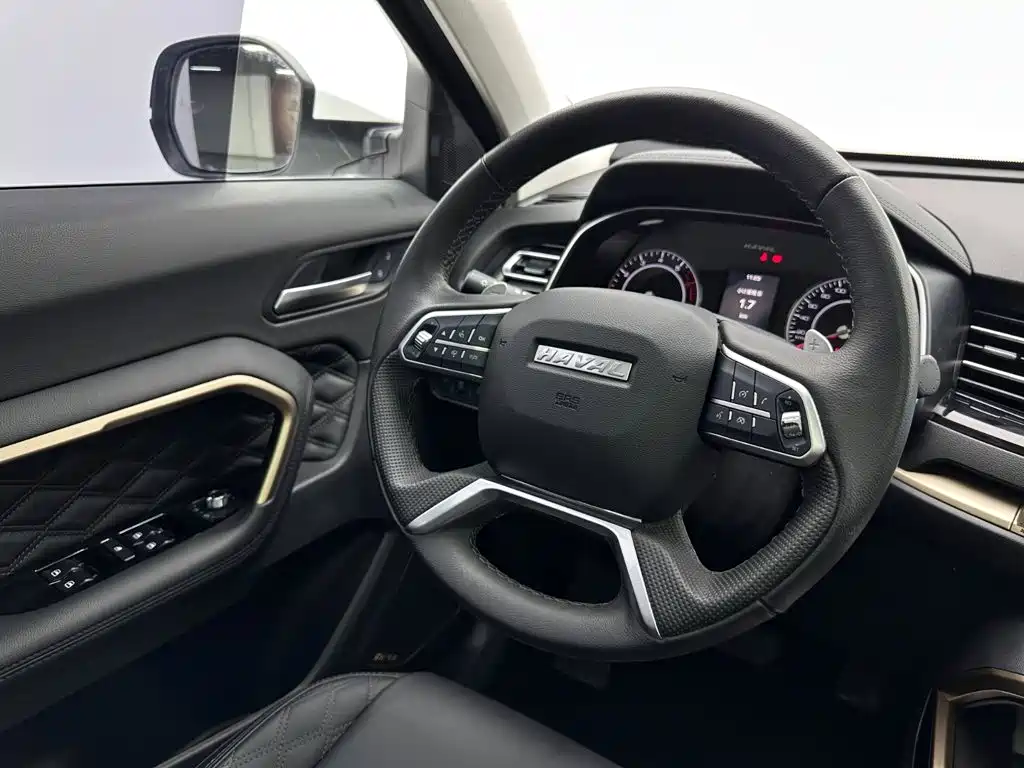 Haval H6 2021 — фото 10