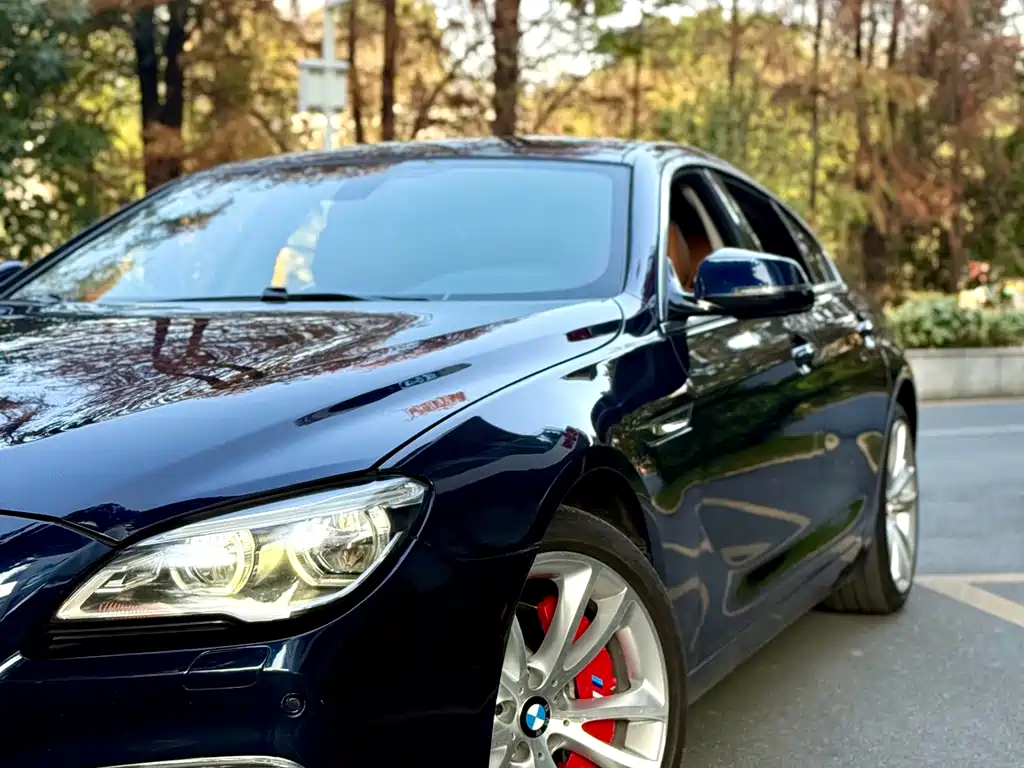 BMW 6 Series 2017 — фото 4