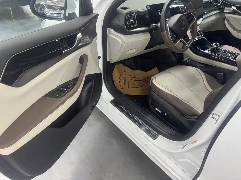 BYD Qin PLUS 2023