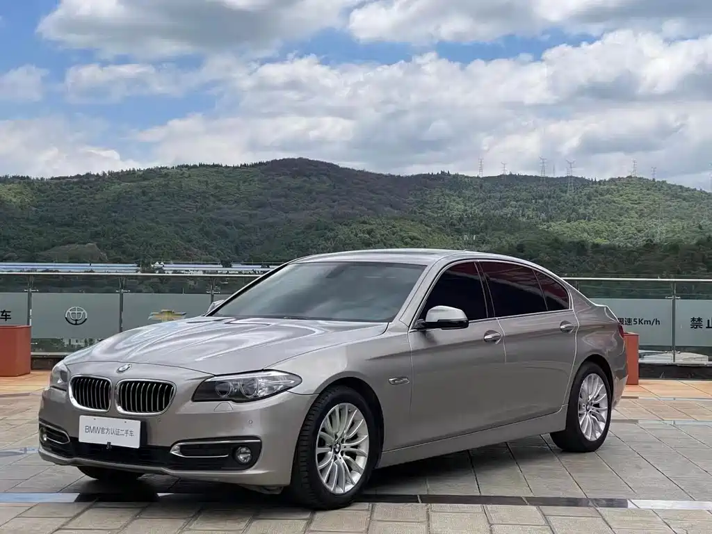 BMW 5 Series 2016 — фото 1