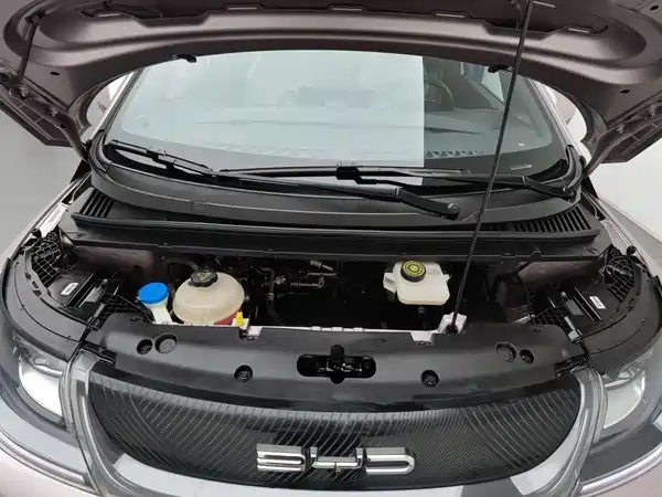 BYD Dolphin 2022