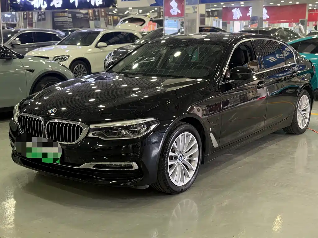 BMW 5 Series New Energy 2019
