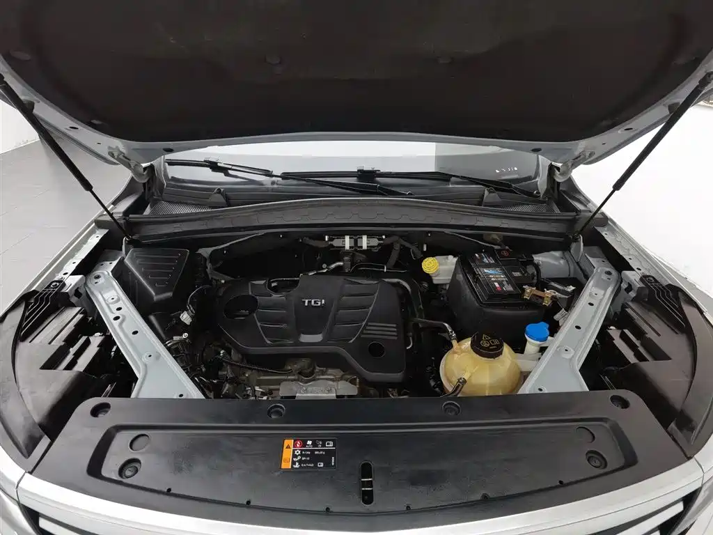 Roewe RX5 MAX 2020 — фото 6