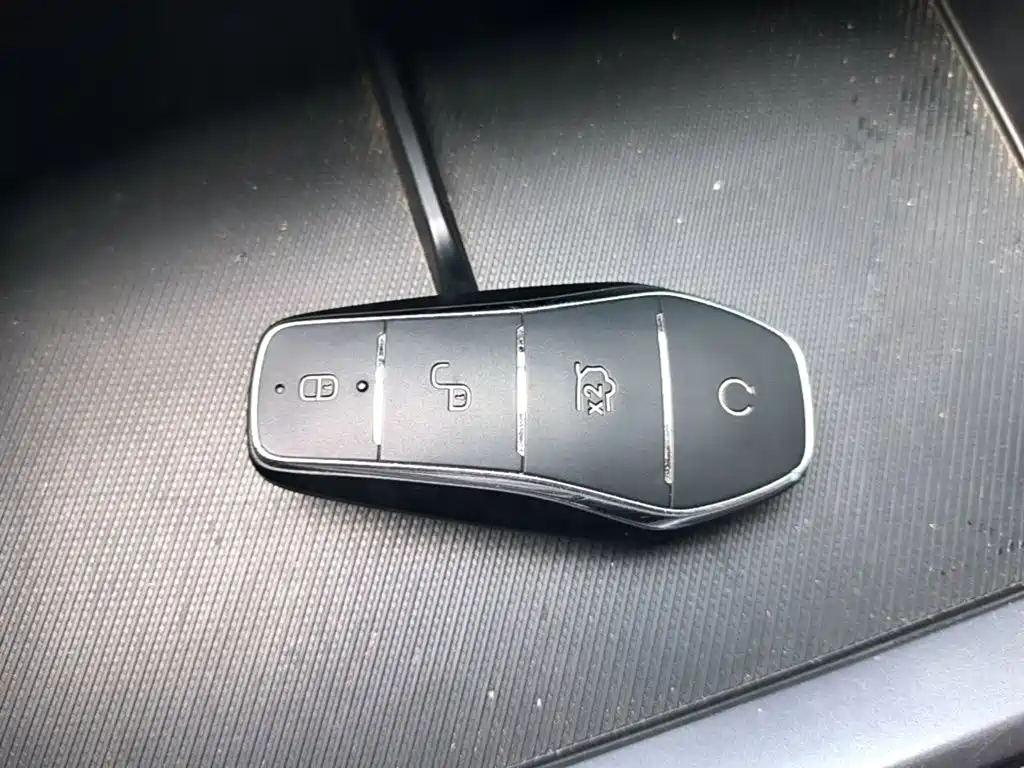BYD Song PLUS New Energy 2024 — фото 9