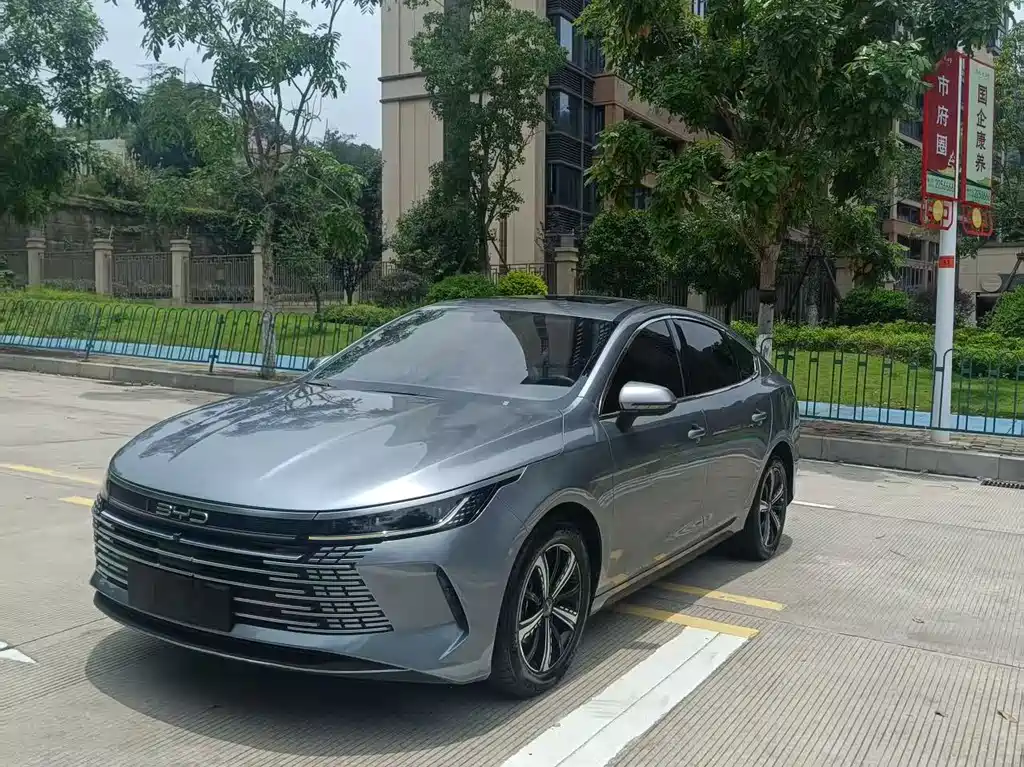 BYD Destroyer 05 2023 — фото 1