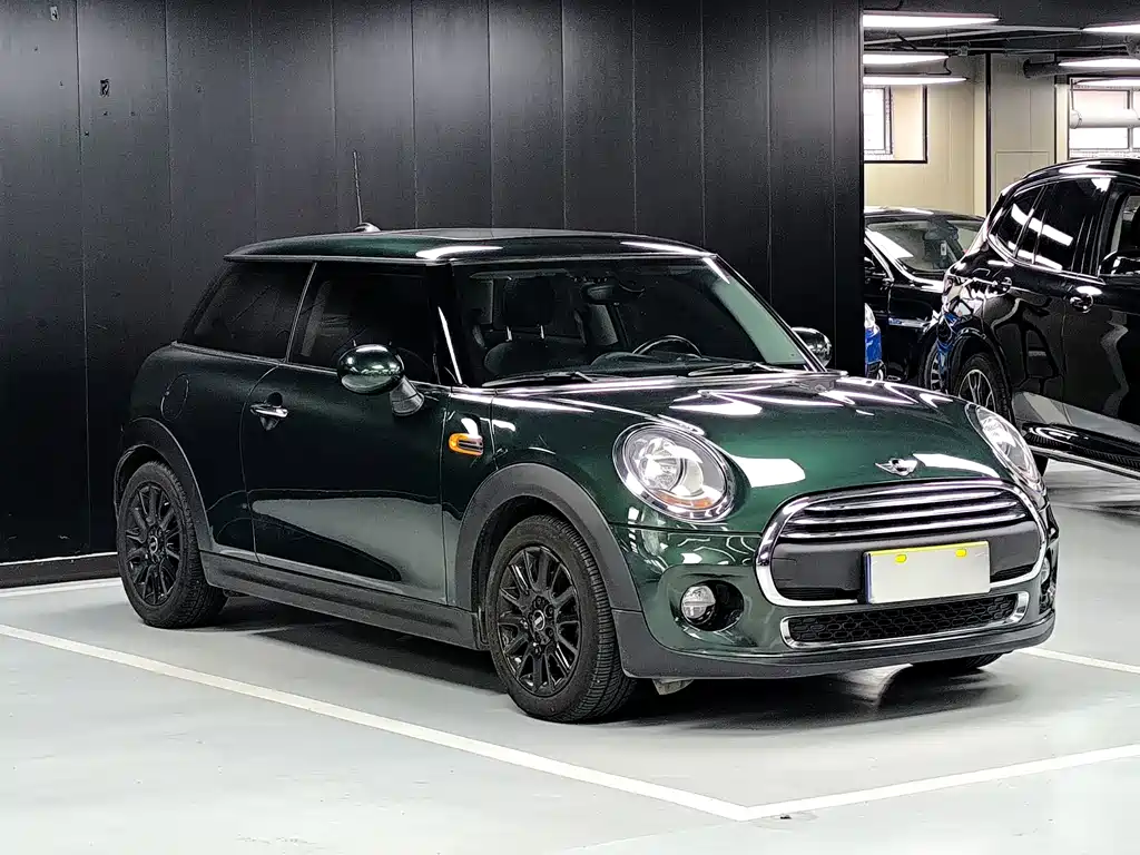 MINI MINI 2015