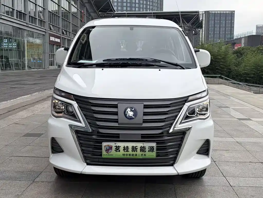Fengxing Lingzhi New Energy 2025 — фото 2