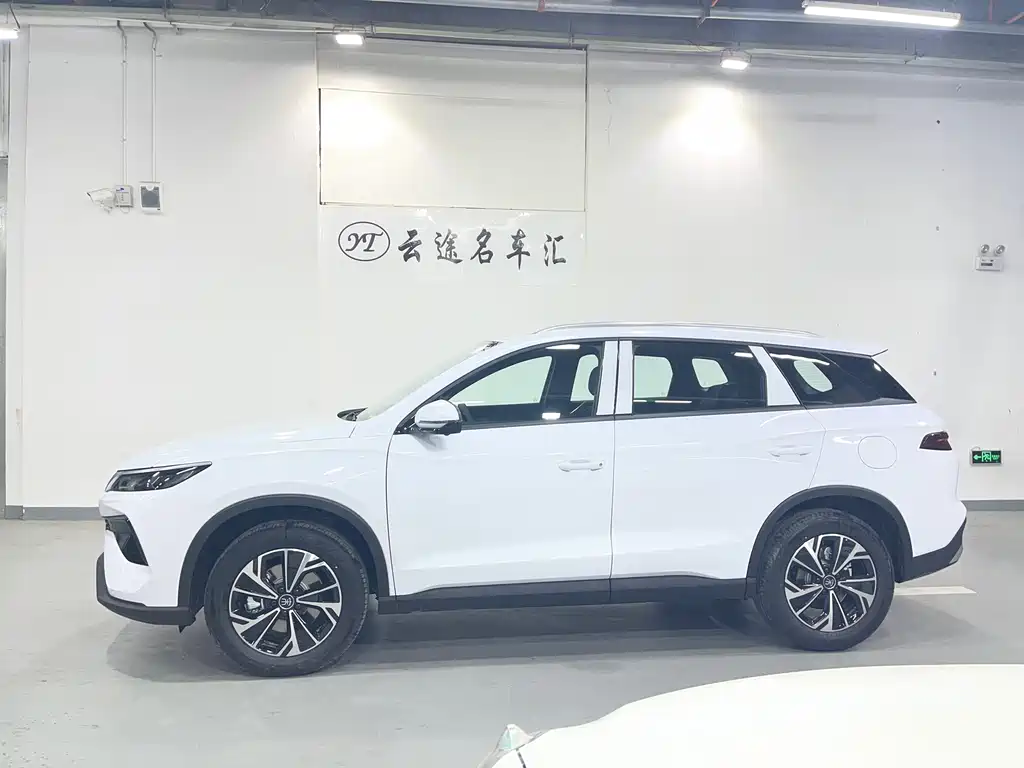 BYD Pro New Energy 2025 — фото 7