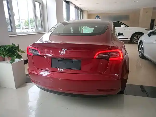Tesla Model 3 2019