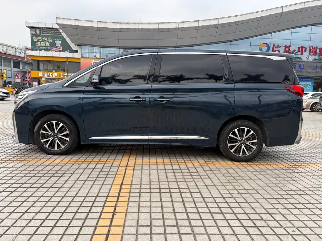 GAC Motor Trumpchi M8 2021 — фото 6