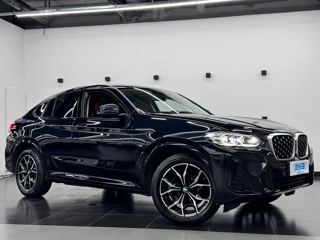 BMW X4 2024 — фото 3