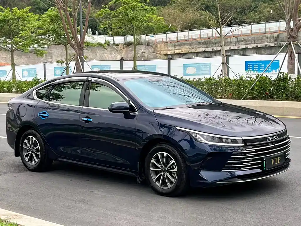 BYD Destroyer 05 2025 — фото 3