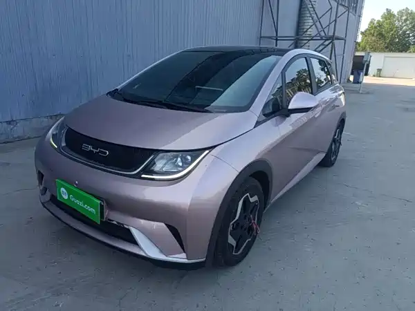 BYD Dolphin 2022