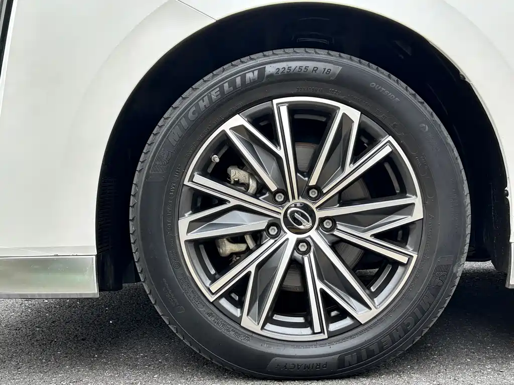 GAC Motor Trumpchi M8 2023 — фото 8