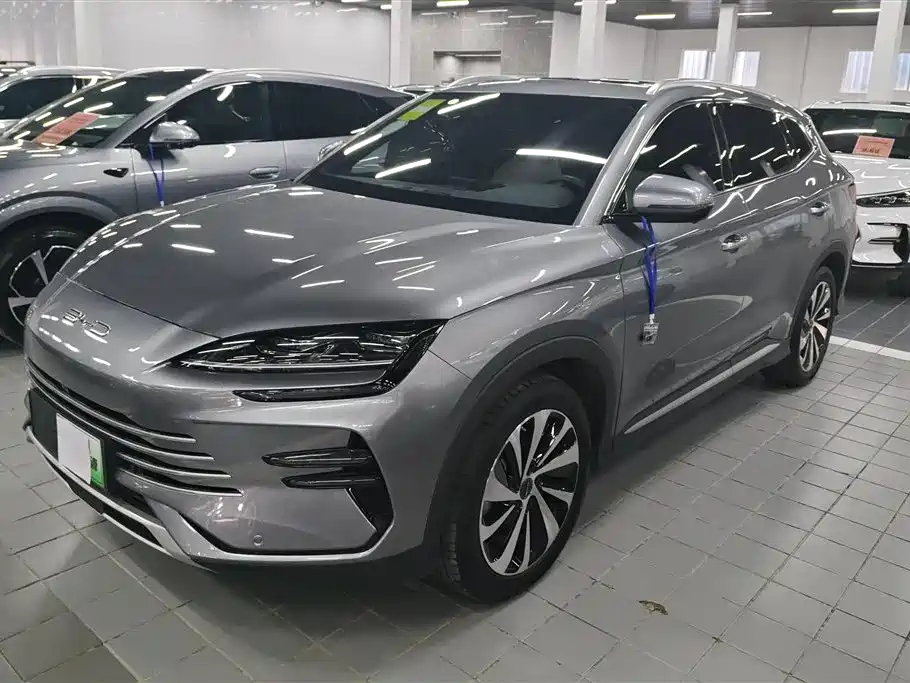BYD PLUS New Energy 2023 — фото 1