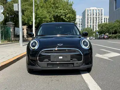MINI MINI 2024