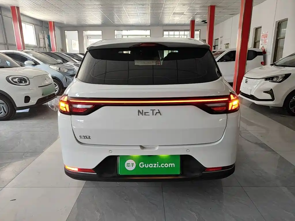 Neta AYA 2024